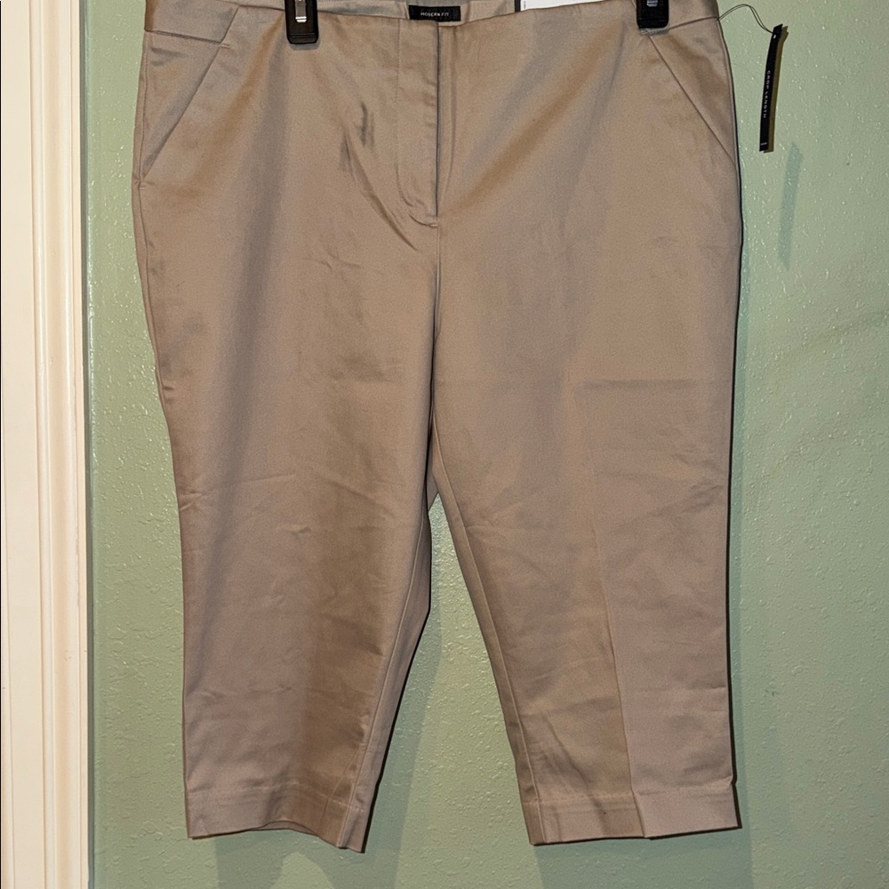 Worthington Modern Fit Slim Leg Pants in Tan NWT 12p